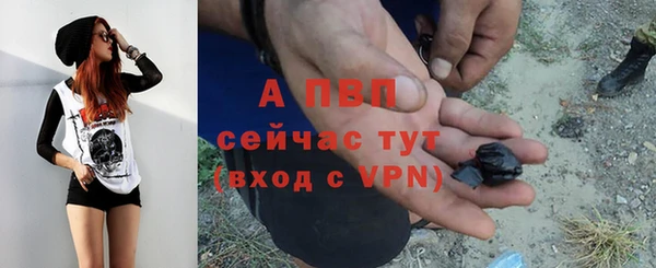 соль ск Горняк