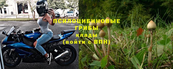 сатива Горнозаводск
