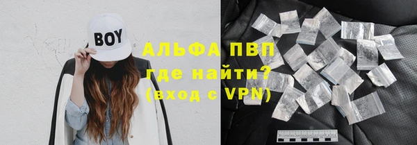 сатива Горнозаводск