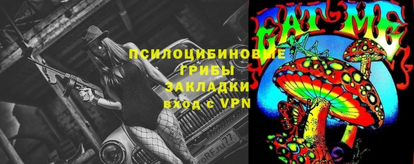 соль ск Горняк