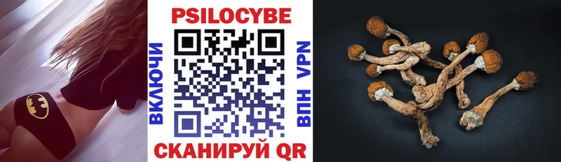 Псилоцибиновые грибы GOLDEN TEACHER  купить  сайты  Мезень 